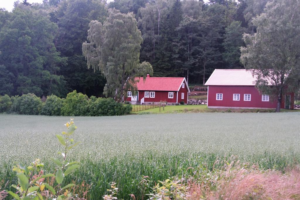 Wraen Svartrå Extérieur photo